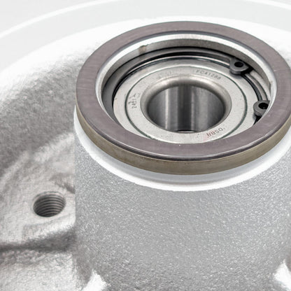 FOR RENAULT MEGANE SPORT RS225 REAR BRAKE DISCS BREMBO PADS ABS BEARING